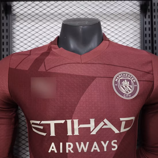 OEM Supply Long Sleeve Player Cricket Jersey with Heat Transfer Printing